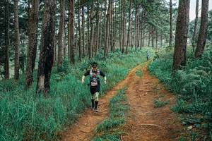 BIB: 
                            <button type="button" onclick="openModal(25660520)" class="btn btn-primary btn-sm float-right btn-popup" data-toggle="modal" data-target=".modal-high-quality">
                        <i class="fas fa-shopping-cart"></i> Add to Cart
                    </button>
                                            <button type="button" onclick="isThisMe(25660520, true)" class="btn btn-success btn-sm float-right btn-popup btn-isme hidden" data-toggle="tooltip" data-placement="bottom" title="นี่คือรูปของคุณใช่ไหม คลิกที่นี่เพื่อเอาเข้าอัลบั้ม">
                        <i class="fas fa-plus"></i> Add to album
                    </button>
                    <button type="button" onclick="isThisMe(25660520, false)" class="btn btn-warning btn-sm float-right btn-popup btn-isnotme hidden">
                        <i class="fas fa-ban"></i> Remove from album
                    </button>